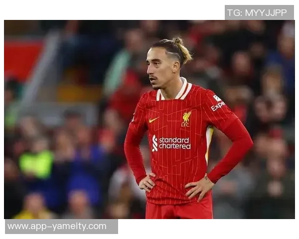 齐米卡斯因出场机会不足离开利物浦外租后或将不再回归球队 齐米卡斯因出场机会不足离开利物浦外租后或将不再回归球队